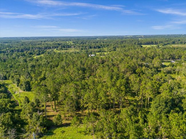 9535 Number Two Rd, Home with 0 bedrooms, 0 bathrooms and null parking in Howey In The Hills FL | Image 20