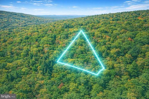 Lot 168 Forest Ridge Trail, Fort Valley, VA, 22652 | Card Image