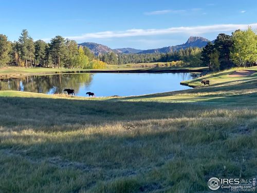 3020 Lake Arapahoe Ct, Red Feather Lakes, CO, 80545 | Card Image