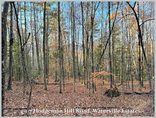 4-1-7 Hodgeman Hill Road, Campton, NH, 03223 | Card Image