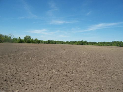 Lot 5 Lapeer Rd Road, Kimball Township, MI, 48074 | Card Image