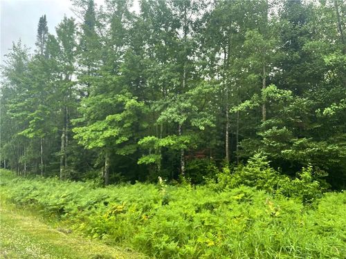 40 Acres Corner Of Cty N And Mackenberg Rd, JACOBS, WI, 54527 | Card Image