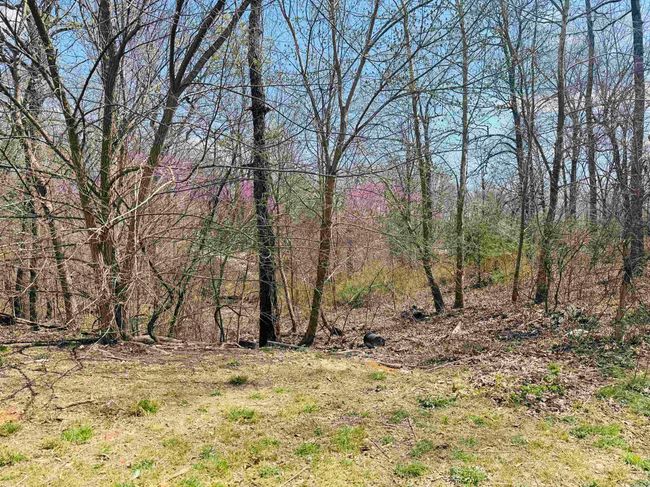 3912 Ar 354 Hwy, House other with 3 bedrooms, 2 bathrooms and null parking in Oxford AR | Image 4
