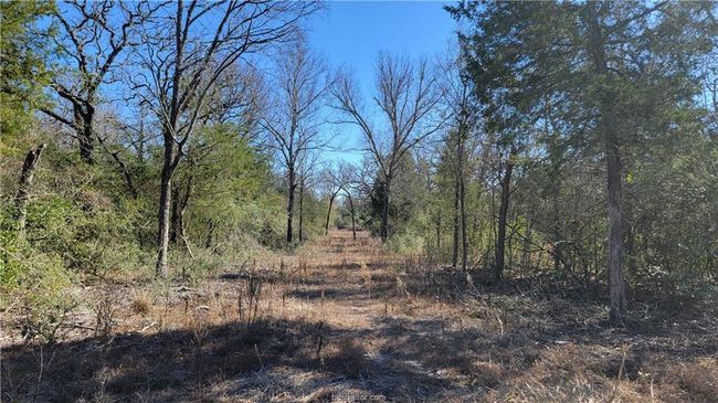15 Old Hickory Grove Rd, House other with 4 bedrooms, 4 bathrooms and null parking in Franklin TX | Image 21