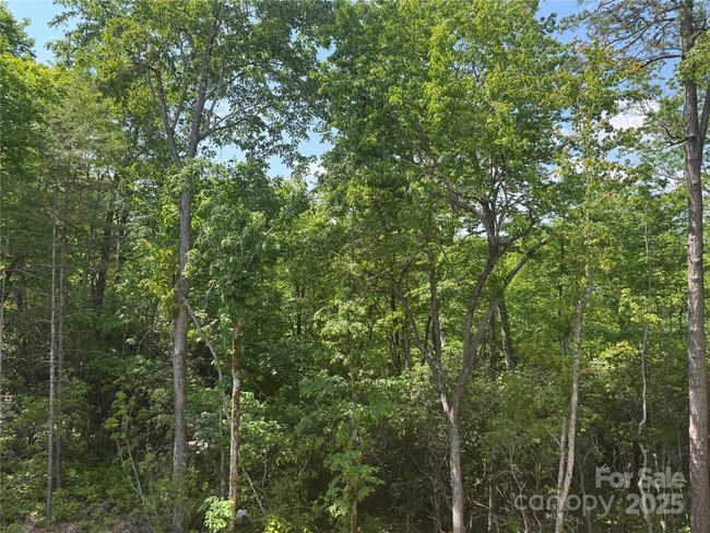 135 Wildwood Way, House other with 3 bedrooms, 2 bathrooms and null parking in Lake Toxaway NC | Image 11