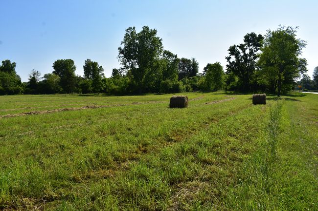 1 County St, Home with 0 bedrooms, 0 bathrooms and null parking in Milan MI | Image 5