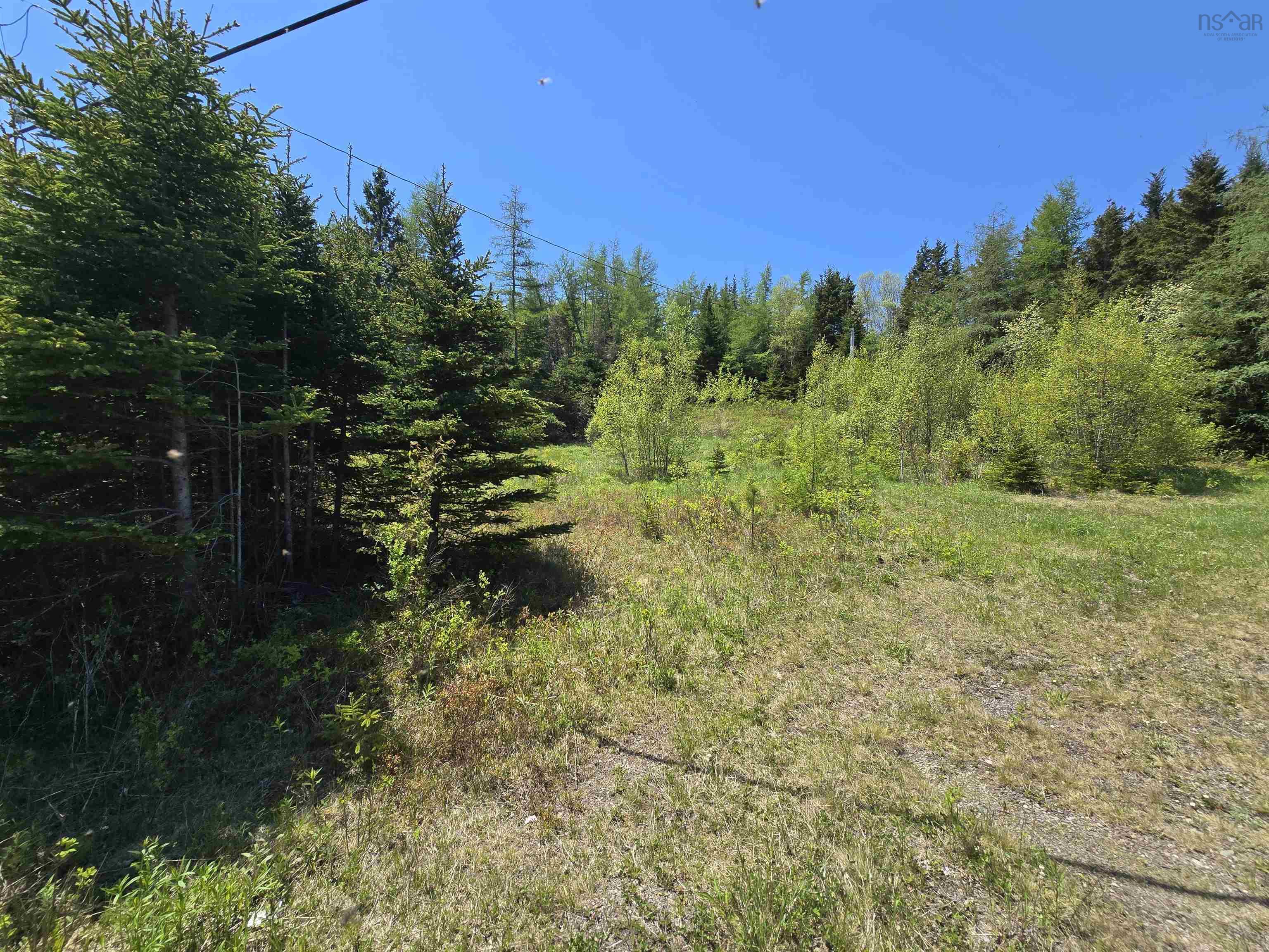 Land in Country Harbour 3