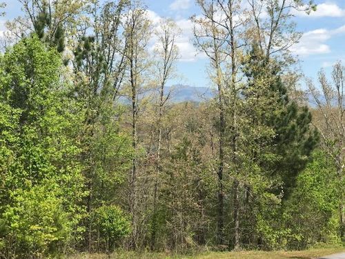 Lot 29 Brasstown View Rd, Murphy, NC, 28906-9757 | Card Image