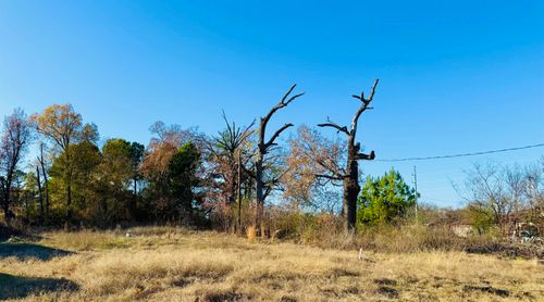 TBD N Lane Wells Dr, Longview, TX, 75604 | Card Image