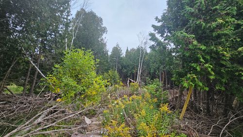 PT LT 23 Con 2 WBR PT 1 Highway 6 Highway, Northern Bruce Peninsula, ON, N0H1Z0 | Card Image