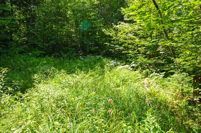 LOT-3 - 00 Vt Route 103 N, Home with 0 bedrooms, 0 bathrooms and null parking in Chester VT | Image 27