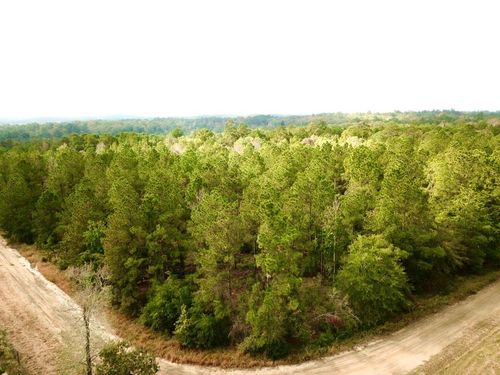 TBD County Road 2310, Woodville, TX, 75979 | Card Image
