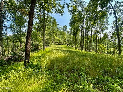 99 Copperhead Hollow Rd, Mountain City, TN, 37683 | Card Image