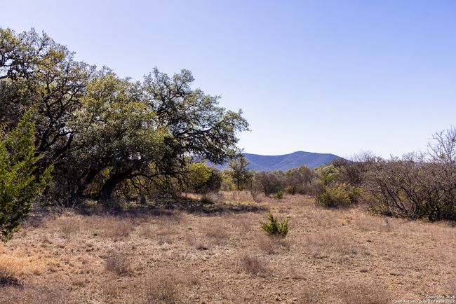 2800 Little Dry Frio Rd, Home with 0 bedrooms, 0 bathrooms and null parking in Rio Frio TX | Image 10