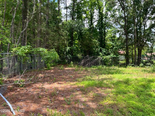 3330 Mccaskey Rd, Home with 0 bedrooms, 0 bathrooms and null parking in Williamston NC | Image 19