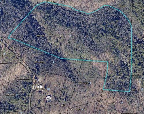 28.4 AC Black Dog Trail, Blue Ridge, GA, 30513 | Card Image