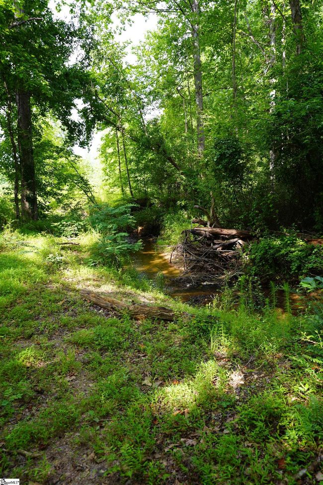 00 N Barton Rd, Home with 0 bedrooms, 0 bathrooms and null parking in Taylors SC | Image 7
