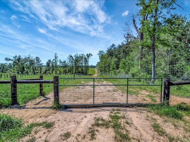 3103 Cheeseland Rd, Home with 0 bedrooms, 0 bathrooms and null parking in Pollok TX | Image 27