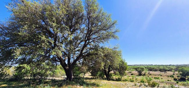 AB-363-AND-495 - 1500 Sales Rd, Home with 0 bedrooms, 0 bathrooms and null parking in Mertzon TX | Image 42