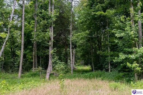 Tract 10 Cook Lane, Cromwell, KY, 42333 | Card Image