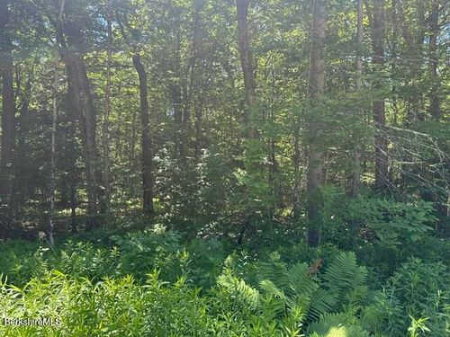 Lot108.1 Woodmere Rd, Becket, MA, 01223 | Card Image