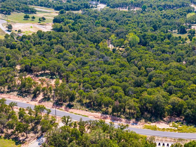 Bird's eye view of a forest | Image 17