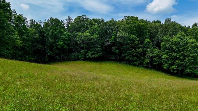 2486 Laurel Fork Rd, Home with 0 bedrooms, 0 bathrooms and null parking in Rocky Gap VA | Image 50