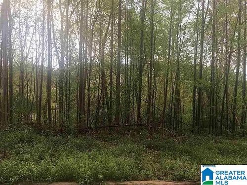 6-6783 Ivey Way, TRUSSVILLE, AL, 35173-5903 | Card Image