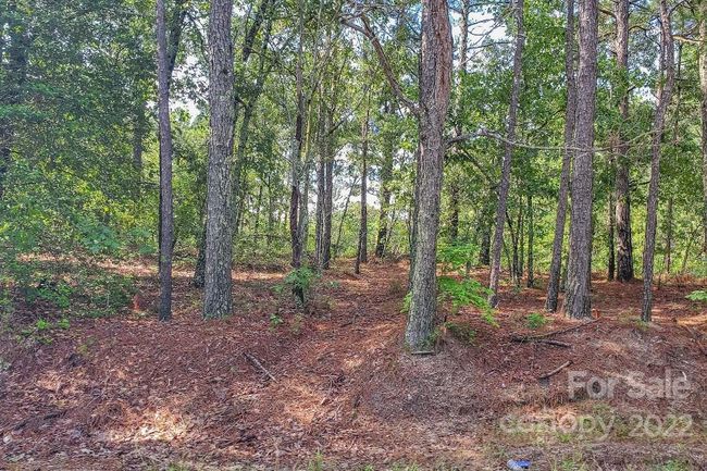 1915 Koon Road, Home with 0 bedrooms, 0 bathrooms and null parking in Lugoff SC | Image 15