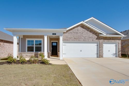 113 Duskwood Dr, Harvest, AL, 35749-4911 | Card Image