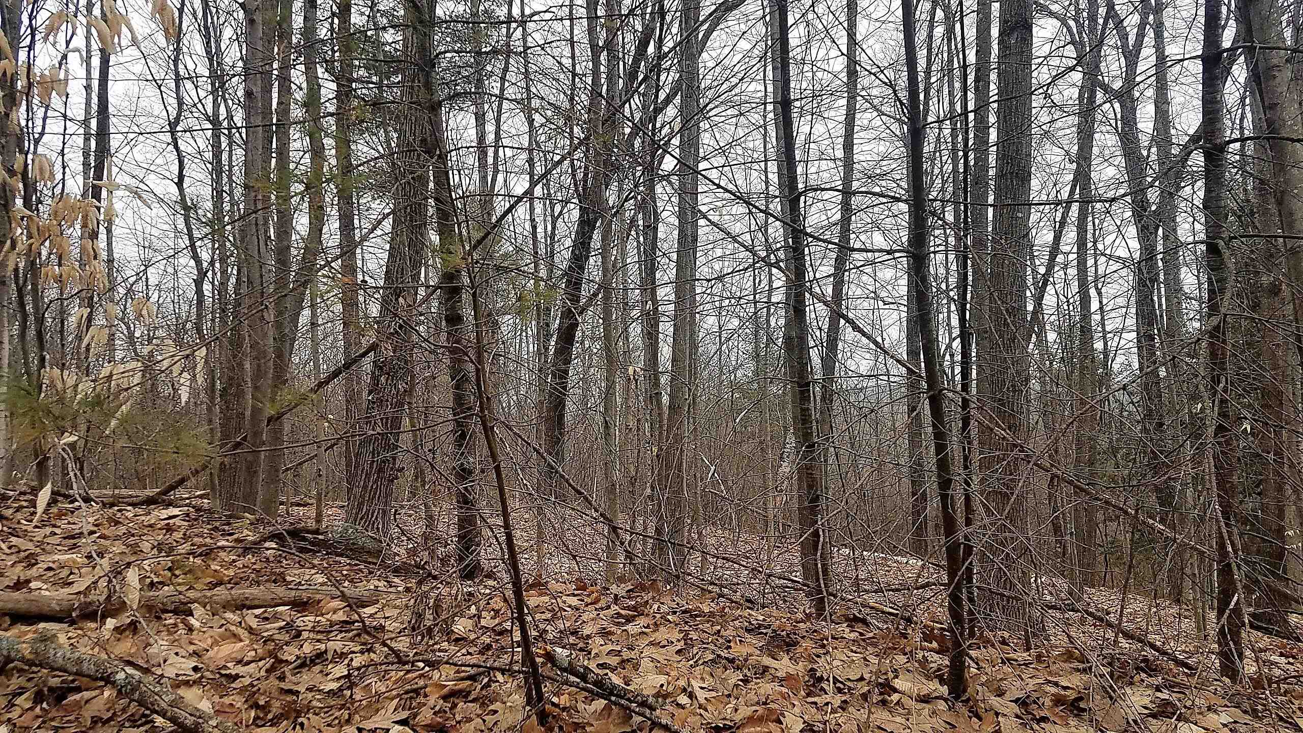 000 Carter Hill Rd, Sold in Concord - eXp Realty
