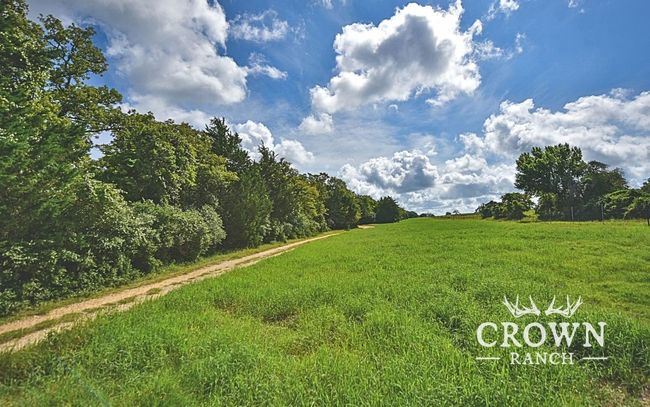 View of yard featuring a rural view | Image 12