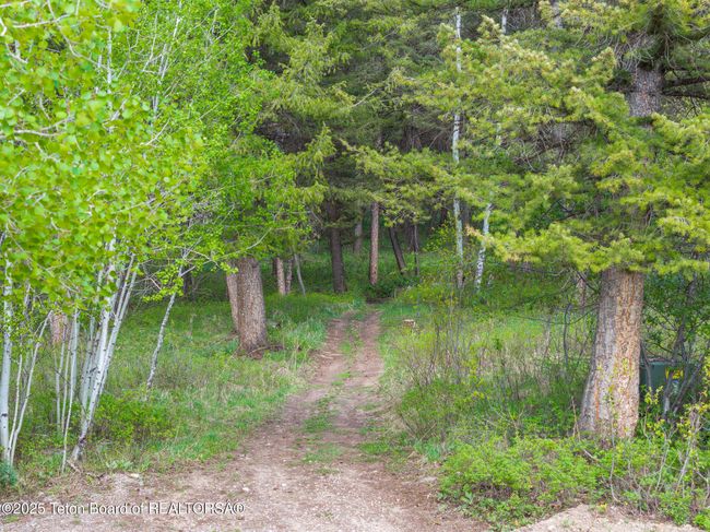 256 Pierce Dr, House other with 4 bedrooms, 3 bathrooms and null parking in Etna WY | Image 52