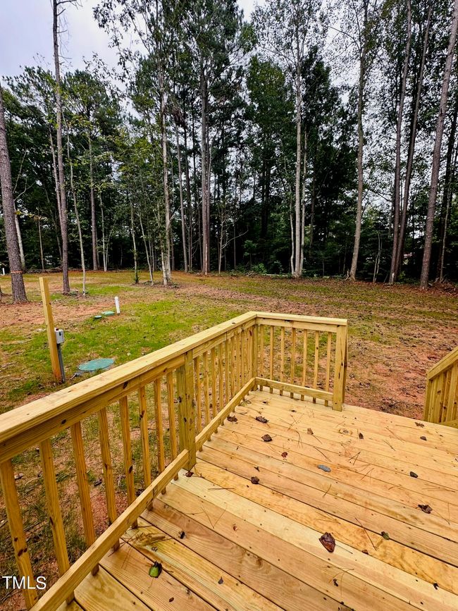 Back Yard | Image 23