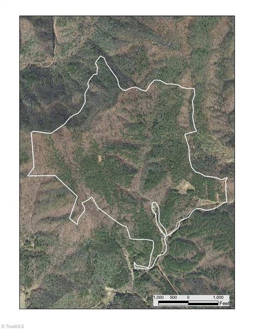 1501 Buckwheat Rd, Mc Grady, NC, 28649-9620 | Card Image