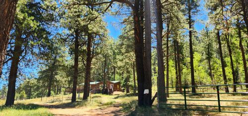 152 Sedillo Hill Rd, Cuba, NM, 87013 | Card Image