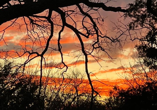 View of nature at dusk | Image 36