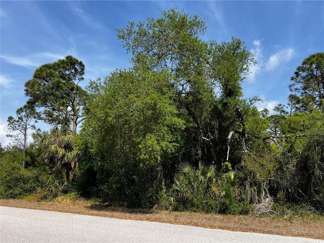 17200 Carson Ave, Home with 0 bedrooms, 0 bathrooms and null parking in PORT CHARLOTTE FL | Image 8