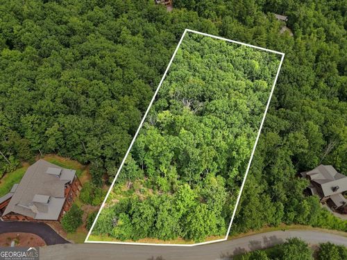22-0 Deer Crest Rd, Blue Ridge, GA, 30513 | Card Image