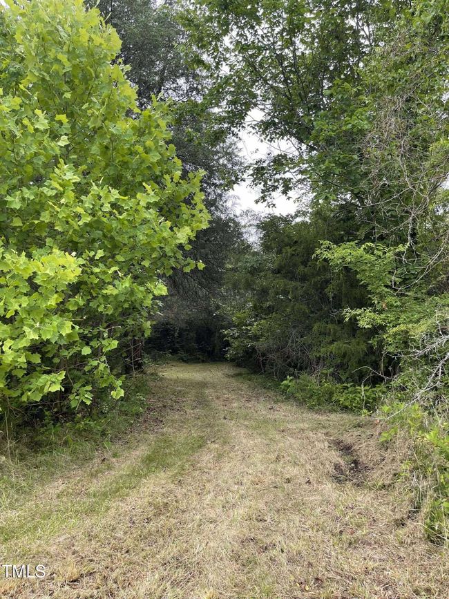 Path | Image 6