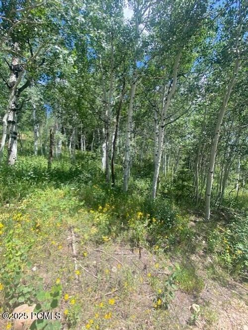 1968 W Elk Rd, Coalville, UT, 84017-6415 | Card Image