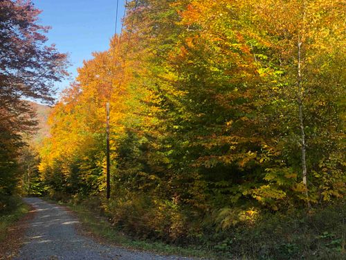 0 Andrea Dr, Stamford, VT, 05352 | Card Image