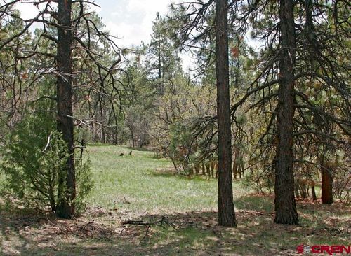 2399 Bull Elk Pl, Pagosa Springs, CO, 81147 | Card Image