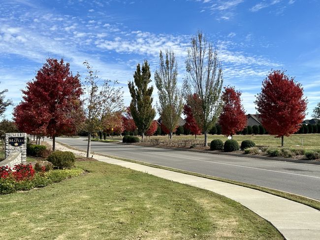 4109 Cile Ct, House other with 4 bedrooms, 4 bathrooms and 2 parking in Murfreesboro TN | Image 53