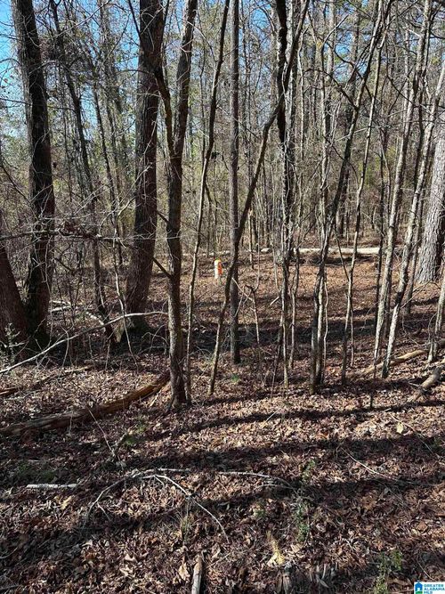 lot-6-0 Fieldcrest Dr, Hayden, AL, 35079 | Card Image