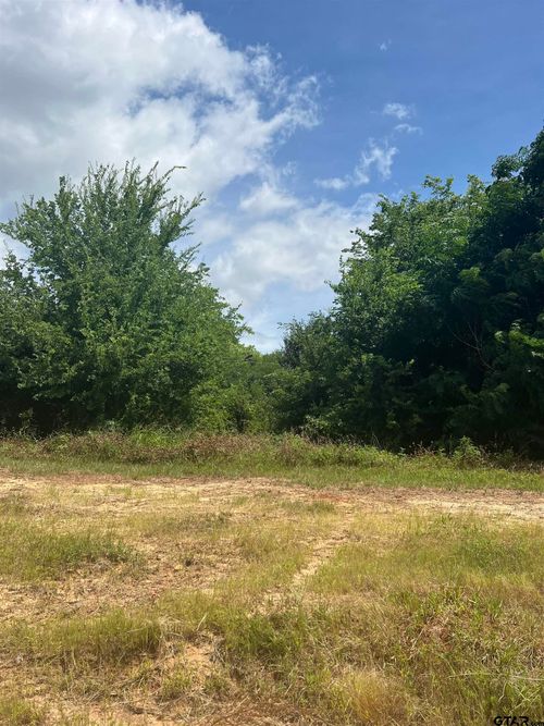 000 State Highway 64, Ben Wheeler, TX, 75754 | Card Image