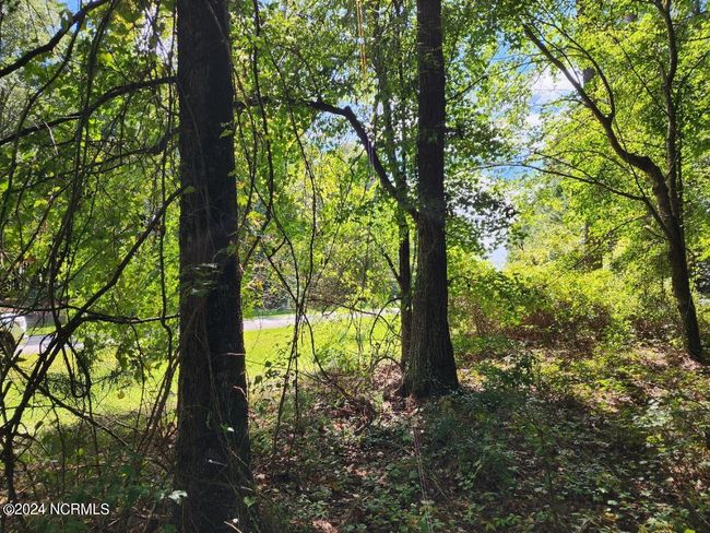10 Winfield Ln, Home with 0 bedrooms, 0 bathrooms and null parking in Pinetown NC | Image 5