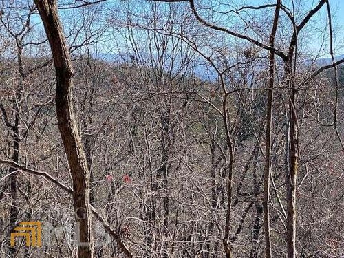 4-LT 4 Sunrock Mountain Trce, Blue Ridge, GA, 30513-2202 | Card Image