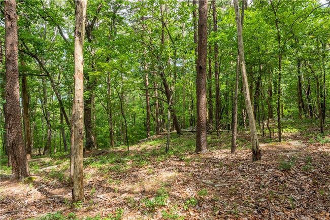 206 Mystic Trail Ln, Home with 0 bedrooms, 0 bathrooms and null parking in Jasper GA | Image 7