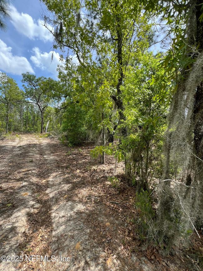 110 Slipper Way, Home with 0 bedrooms, 0 bathrooms and null parking in HAWTHORNE FL | Image 5